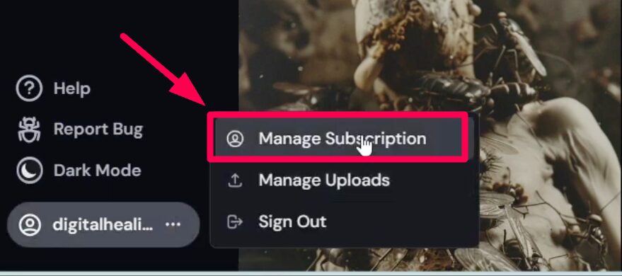 Manage MidJourney Subscription