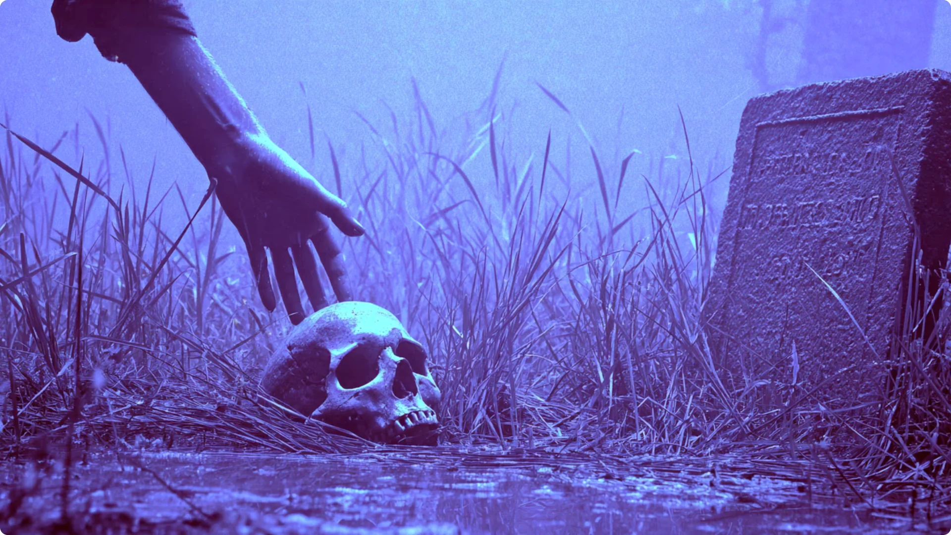 Unlock Midjourney Styles with the New Style Explorer Tool screenshot 11