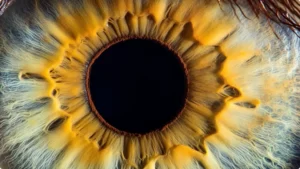 Unlock Powerful Midjourney Tips to Elevate Your AI Art Skills screenshot 31