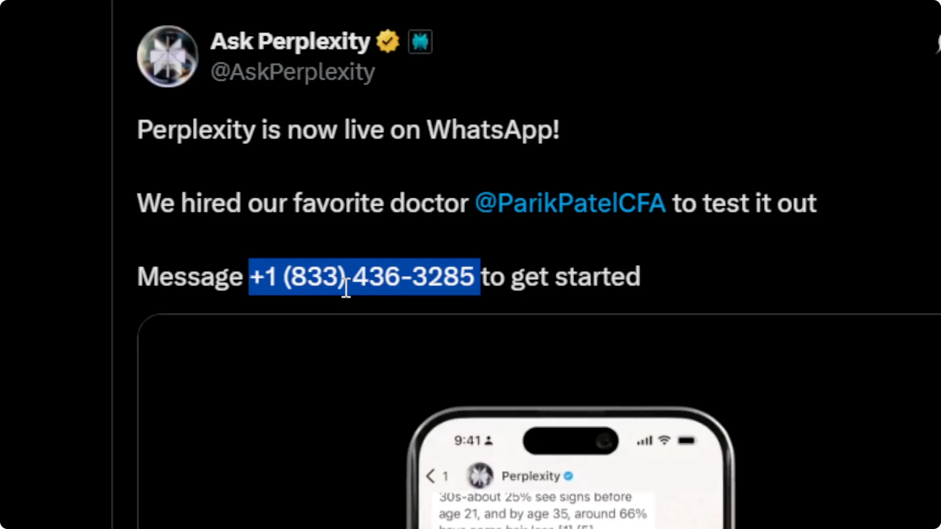 How to Chat with Perplexity AI in WhatsApp screenshot 1